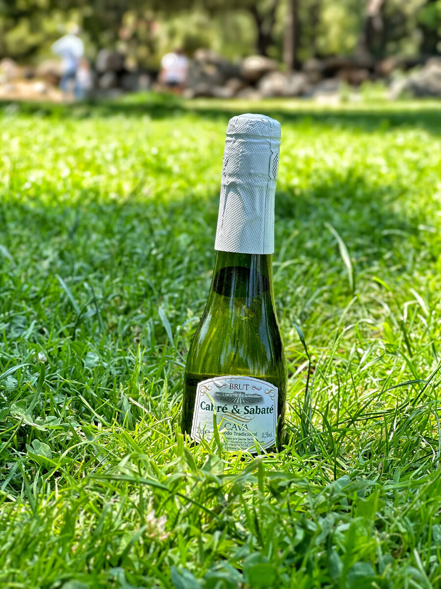 Зная, что женщина страдает похмельем, кабальеро принёс бутылочку кавы и таблетки от головной боли 