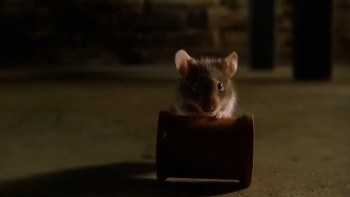 «Зелёная миля» - очень сильная картина и, возможно, самая достойная экранизация произведений Стивена Кинга (по крайней мере, сам Король ужасов считает именно так).-12