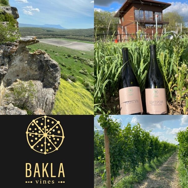 https://web.telegram.org/k/#@BaklaVines
