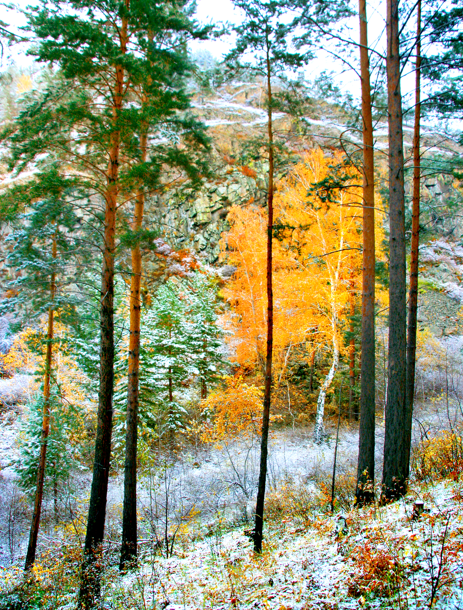 Фотография, стихотворение Василия Глуцкого