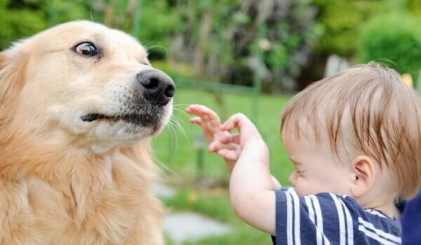 фото:detki-opt.ru  📷
