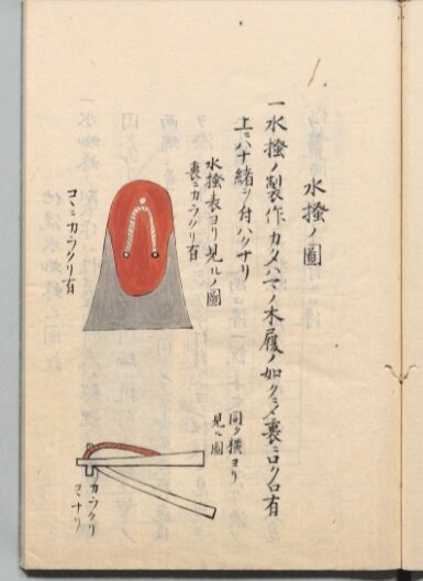 Мидзукаки - ласты