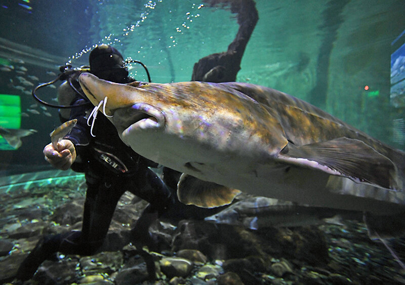    © Виталий Аньков/РИА Новости