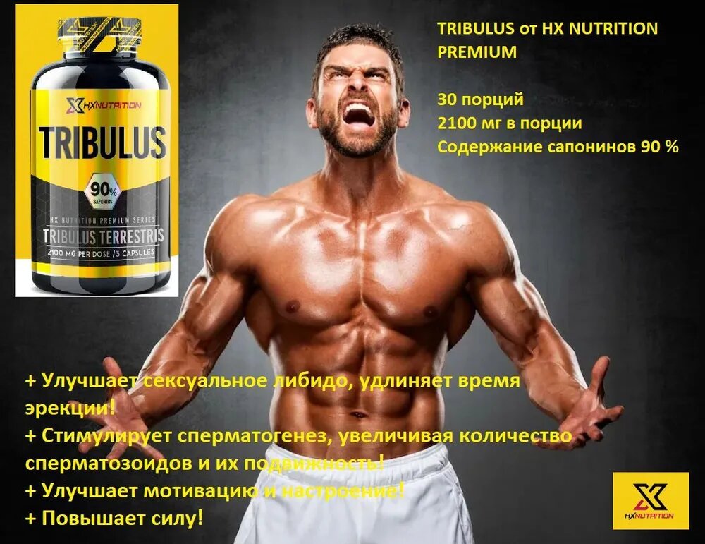 Трибулус HX Nutrition Premium TRIBULUS 2100 MG 90 капсул