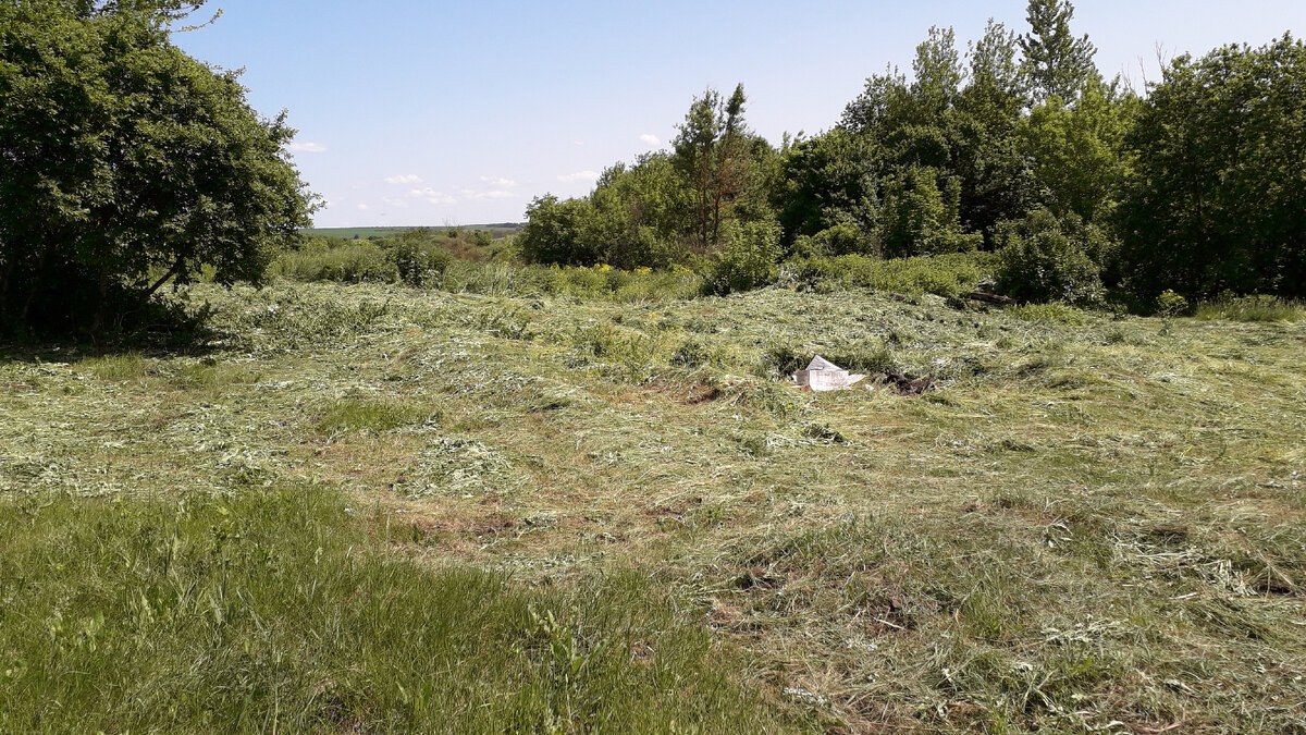 Мои территории