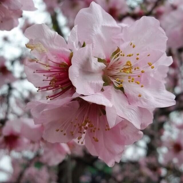 Фото из личного архива