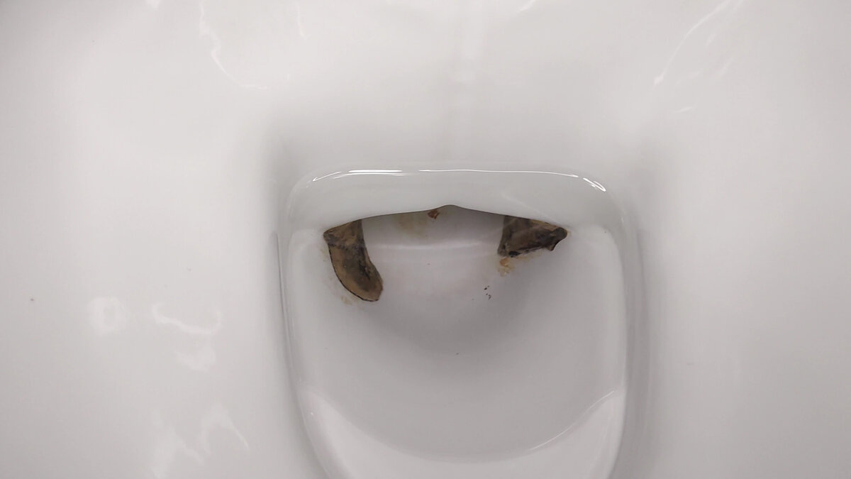 Hola amigos.  Estás en el canal Consejos para el hogar.  Y en este artículo te contaré cómo limpiar el inodoro de placa amarilla, cálculos urinarios y óxido.-8