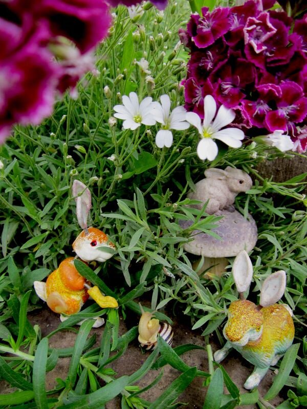 Собственное фото автора от 25 мая 2023 г