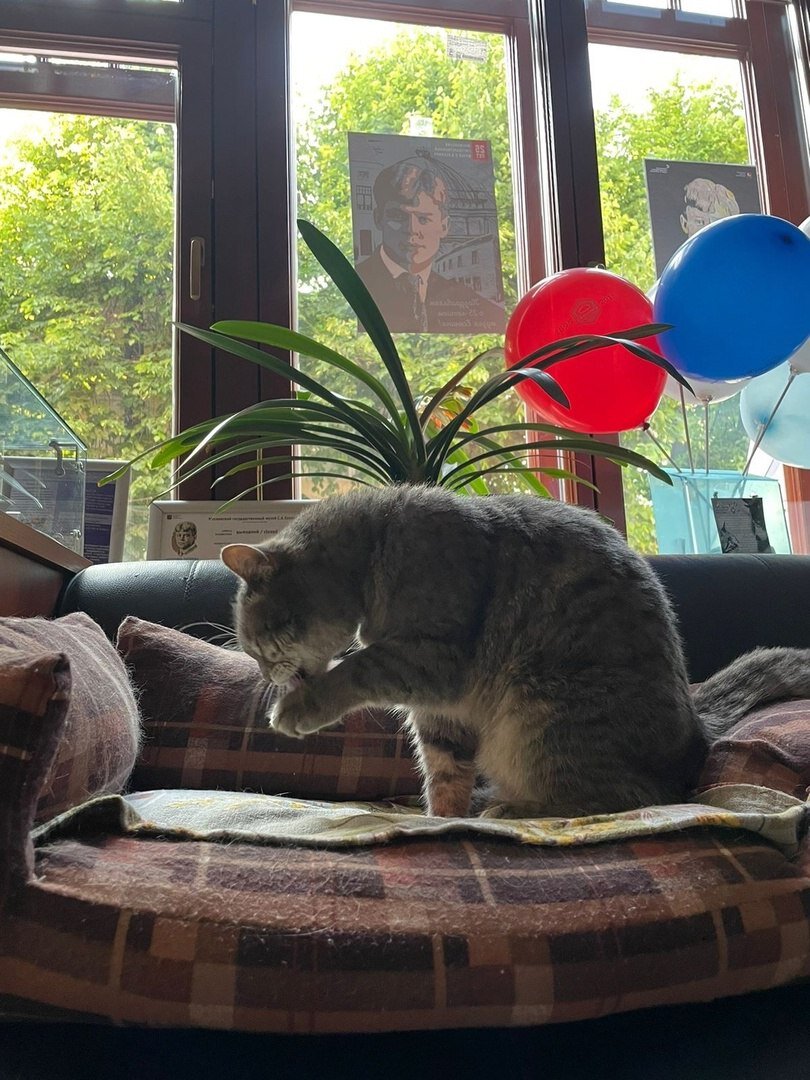 Фото: vk.com / @esenin.museum