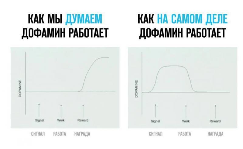 Чем заменить дешевый дофамин Гайд по нейромедиаторам: Дофамин Биохакинг и Нейробиология Дзен