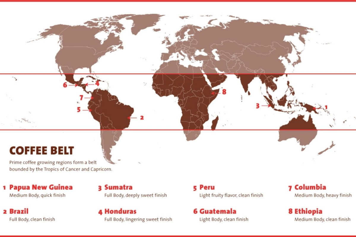 Кофейный пояс – сюда включены главные поставщики кофе в мире. Источник: https://www.helenacoffee.vn/coffee-bean-belt/ 