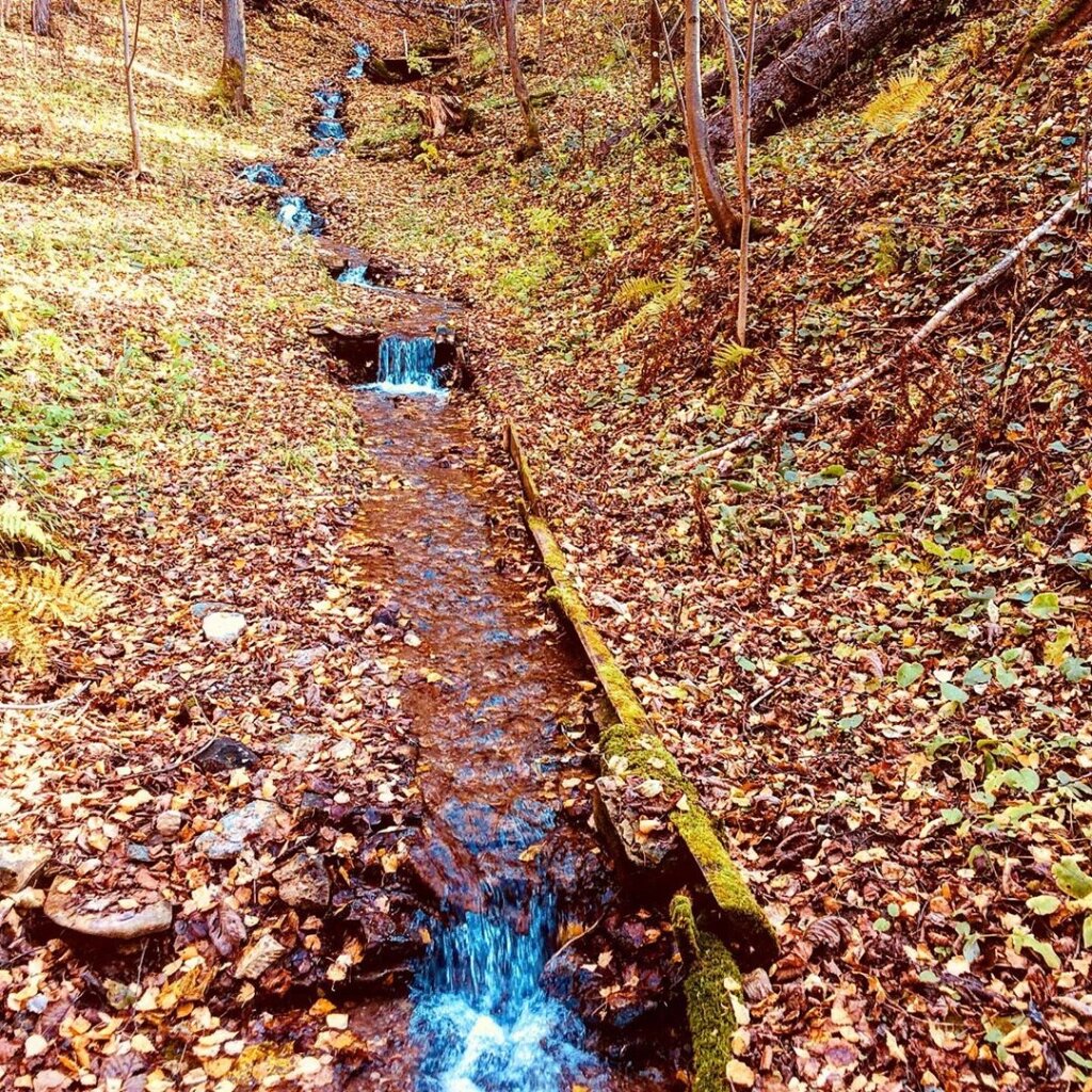 Долина водопадов. Фото: Светлана Куксина