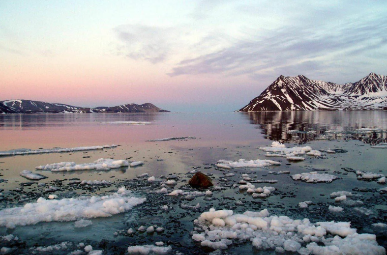 Заповедник "Остров Врангеля"