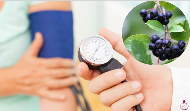 Черноплодная рябина для крепкого здоровья. Рецепты от давления и гипертонии.