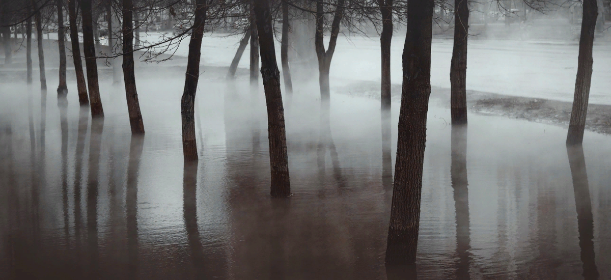 Фотография Павла Большакова