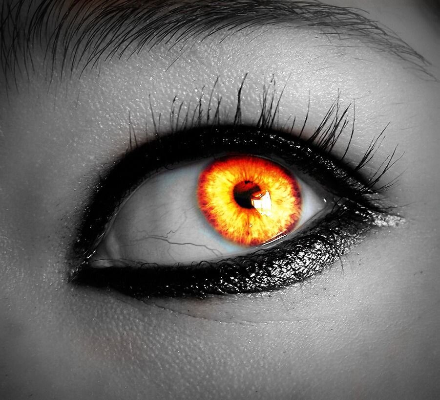 темно янтарные глаза. тёмно янтарные глаза. темно оранжевые глаза. янтарные глаза. оранжевые глаза.