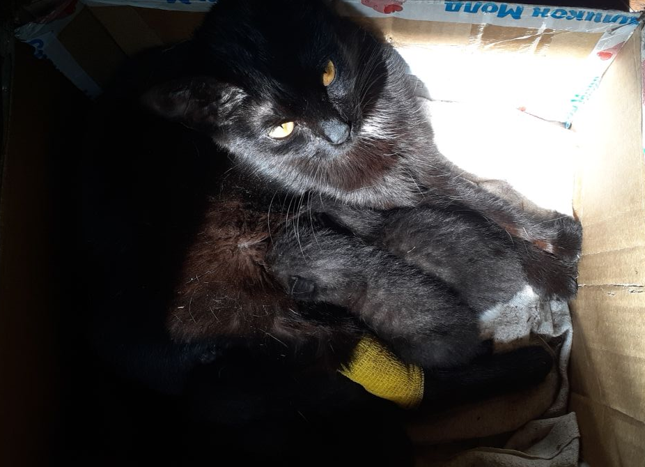 После бoльнички с детишками