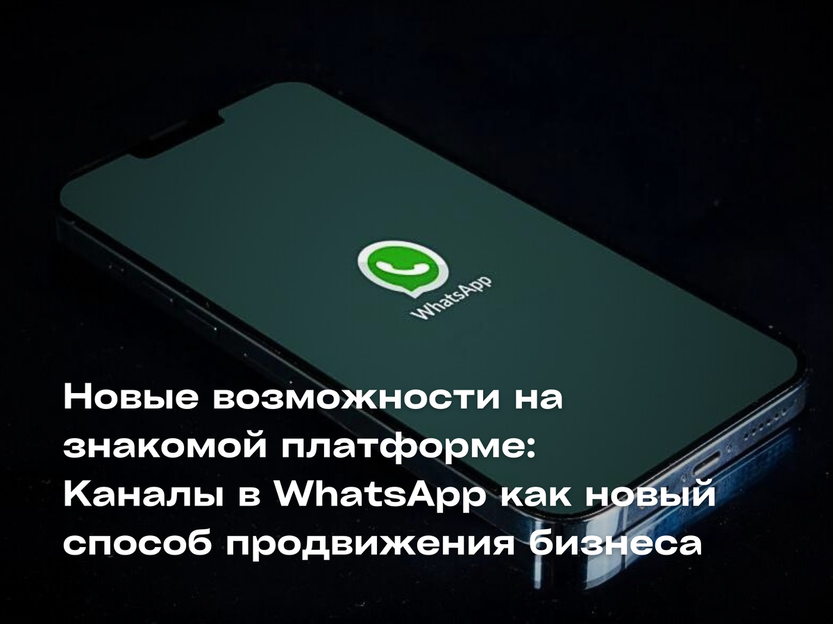 Новые возможности на знакомой платформе: Каналы в WhatsApp как новый способ  продвижения бизнеса | СТАНДАРТ МОСКВА LIVE | Дзен