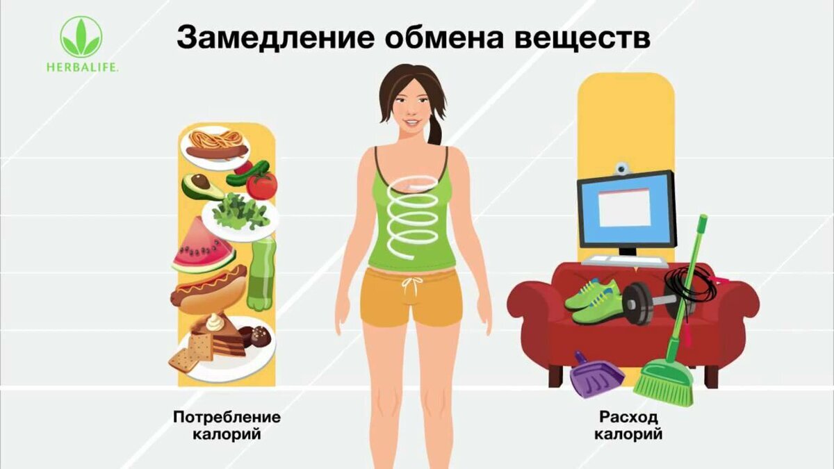 Замедление обмена. Обмен веществ. Обмен веществ картинки. Метаболизм картинки. Замедленный обмен веществ.