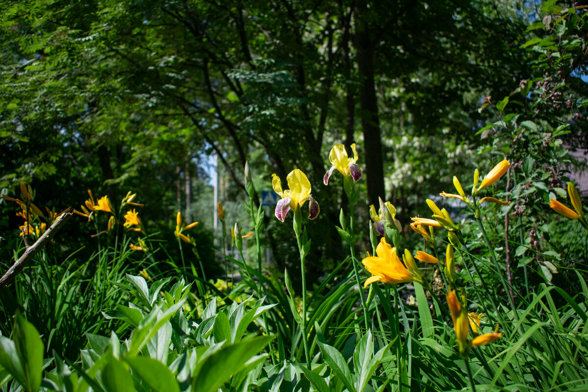 Фотография автора статьи. 