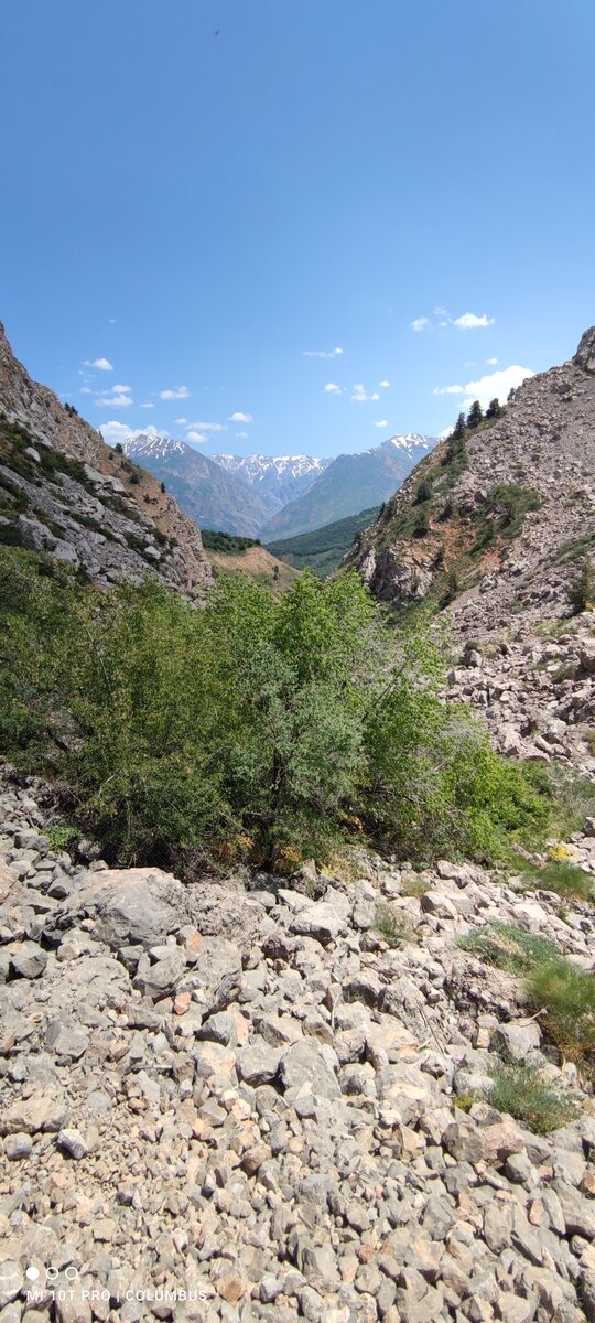  Бостанлыкский район, Ташкентская область. 