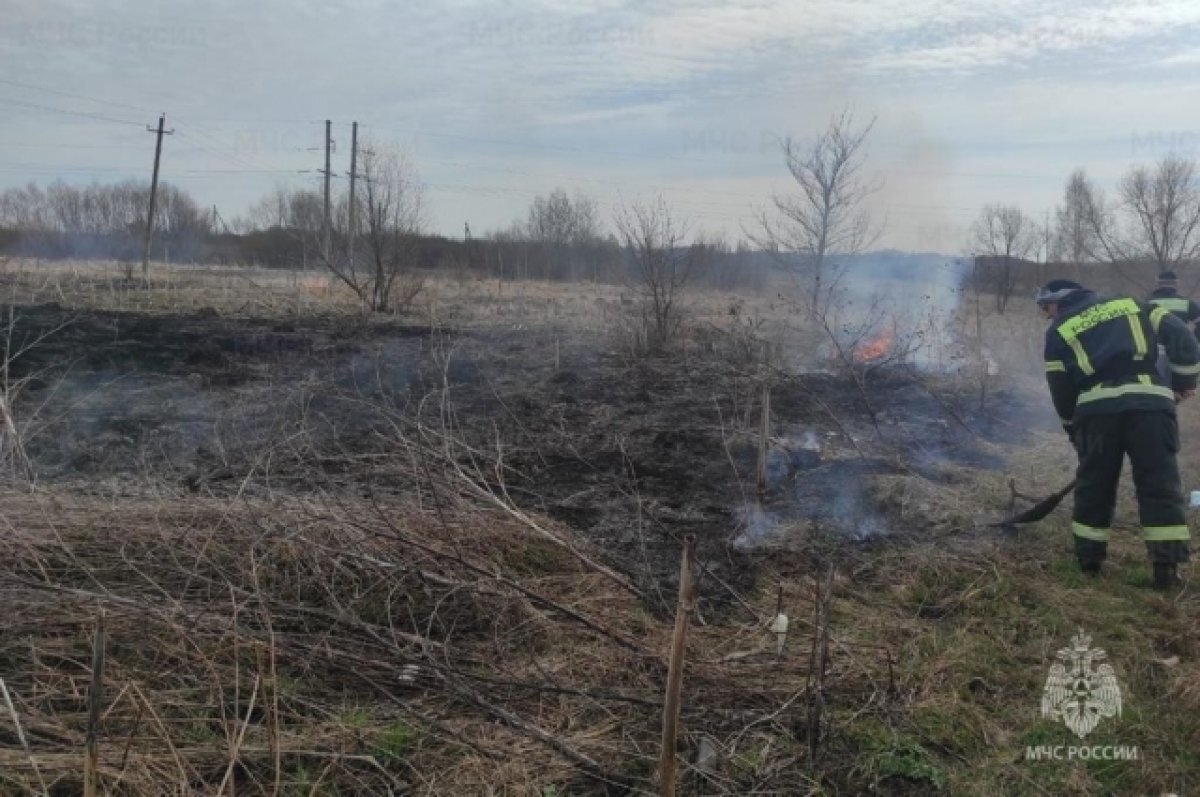    В Тульской области за пал сухой травы на 2,5 млн оштрафованы 623 человека