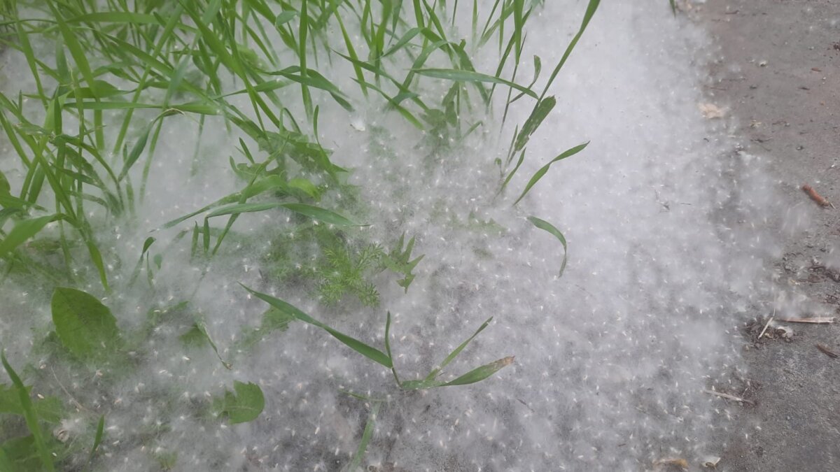 ИА SM News Екатеринбург📷
