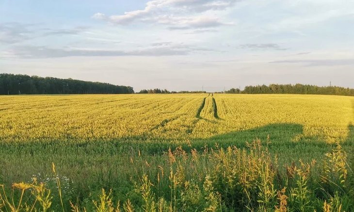    НСА и Тамбовская область на полях ПМЭФ-2023 подписали соглашение о сотрудничестве