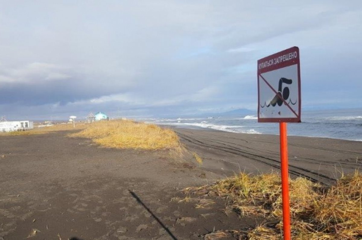    На Камчатке в воде на Халактырском пляже выявили кишечную палочку