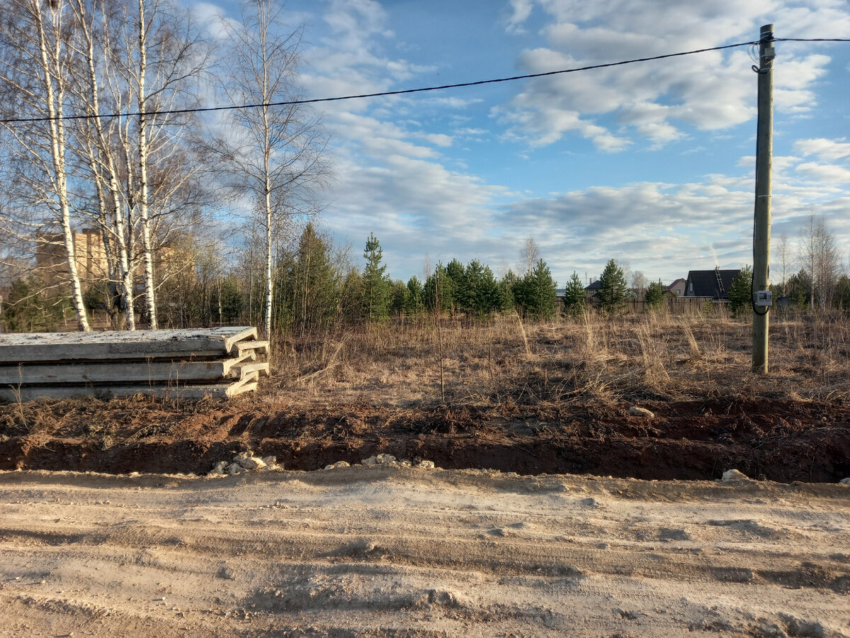 Вот так выглядел участок после зимы. Просто ужас. Сюда даже заехать нельзя.