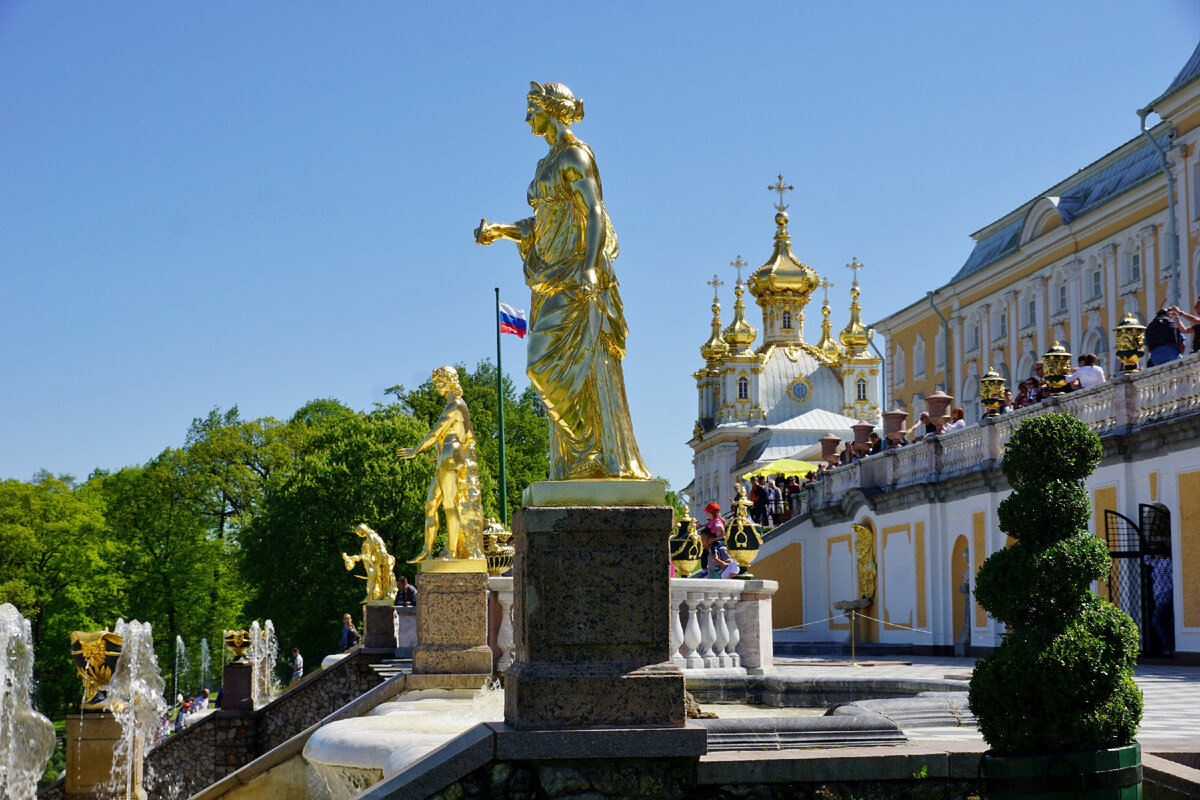 Петергоф. Часть №1. Большой Петергофский дворец | Петербург знакомый и  незнакомый | Дзен