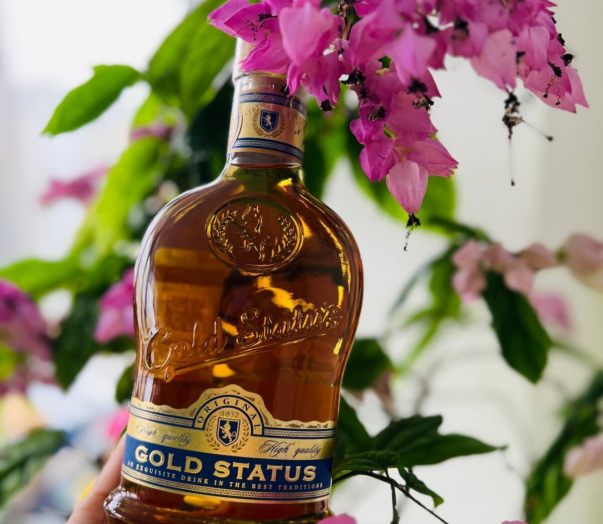 Коньяк Gold Status