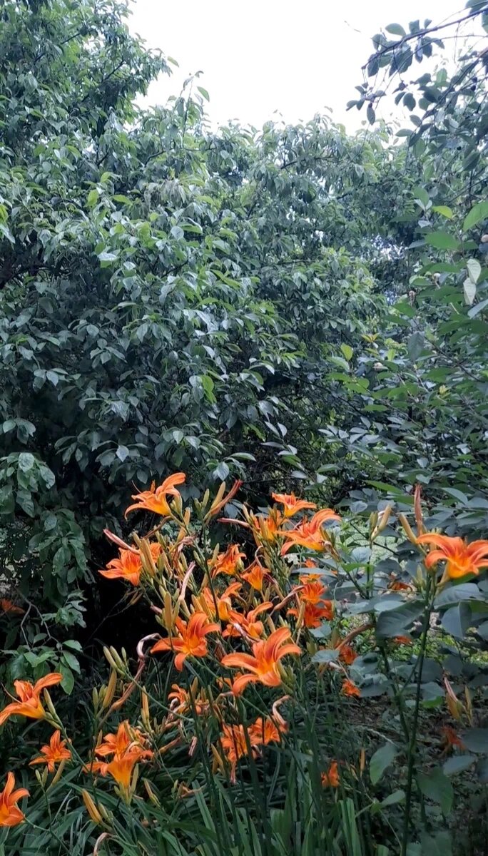 Лето, ах, лето! Фото И.Т.