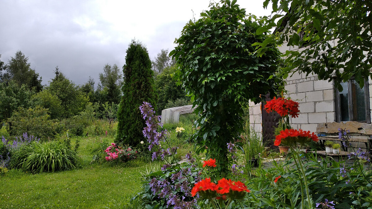 Погода - ах! Уже четвёртый день холодно...