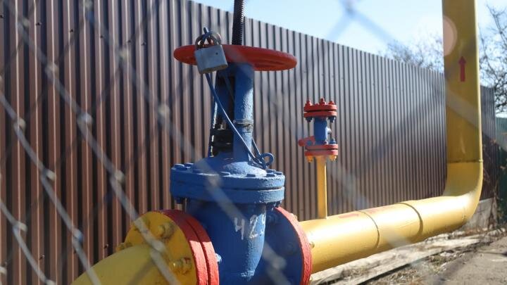 Фото: globallookpress.com/Elena Mayorova