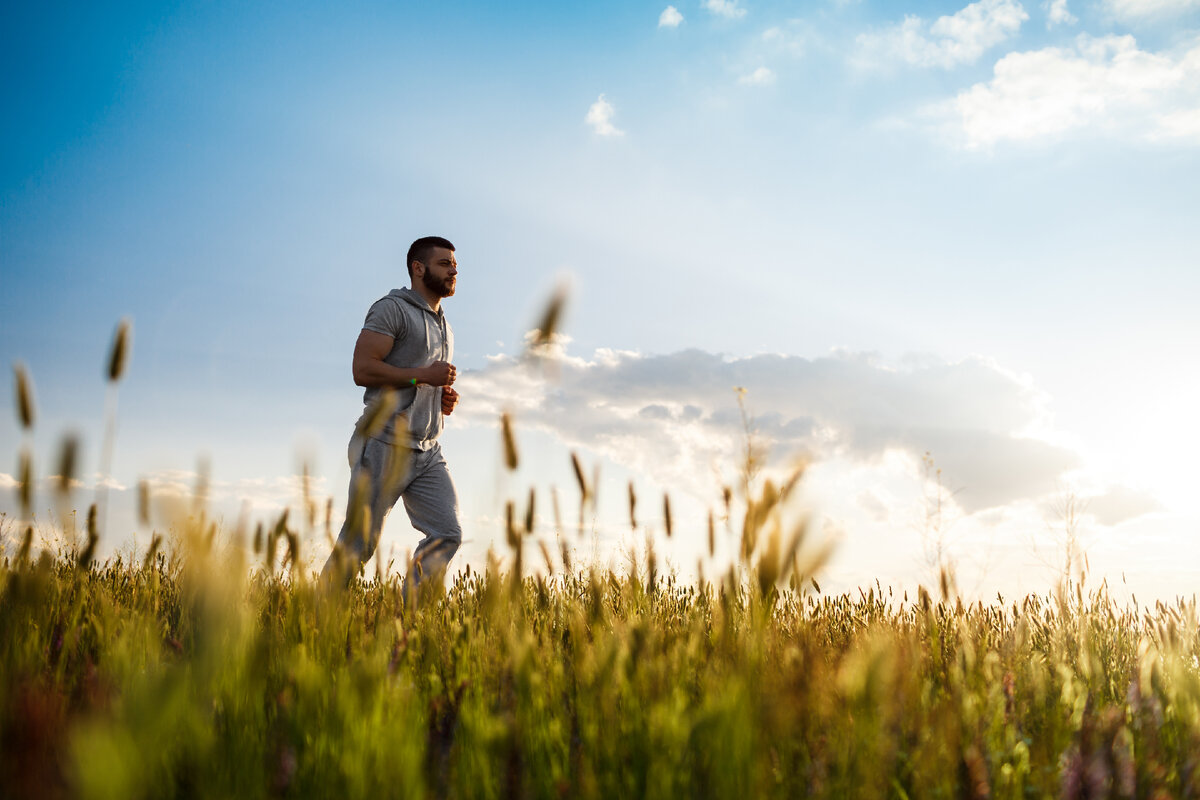 https://ru.freepik.com/free-photo/young-sportive-man-jogging-in-field-at-sunrise_7851120.htm