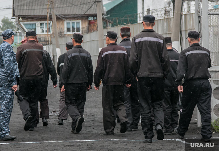    Курганские осужденные подают заявления на службу по контракту