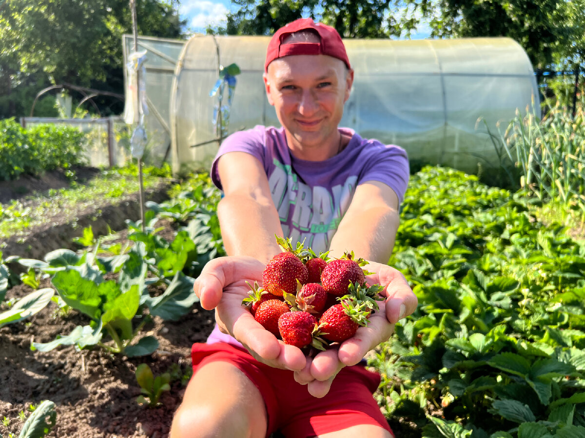 Все фото - автора 