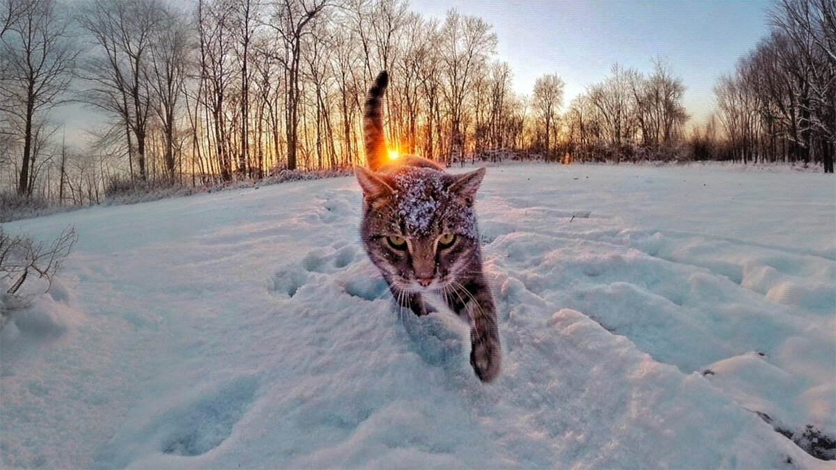 источник фото: sun9-29.userapi.com