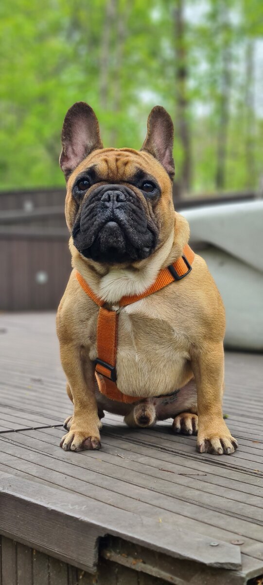 2 июля. Спасибо, что ты с нами, каждый день радуешь нас и мы ценим каждую минуту   проведенную вместе с тобой🥰