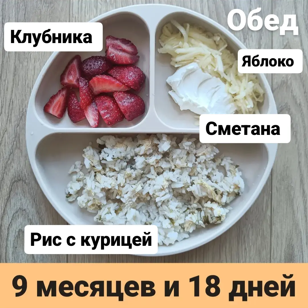 Прикорм. Тарелка 9 месяцев и 18 дней. Обед. | В поисках дома ❤️ Вьетнам  🇻🇳 Нячанг | Дзен