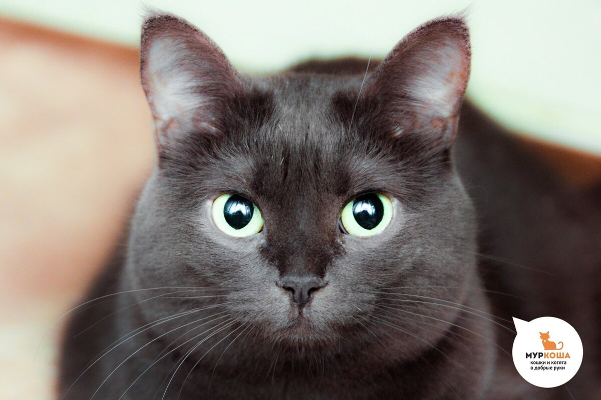 Мэллори во всей красе