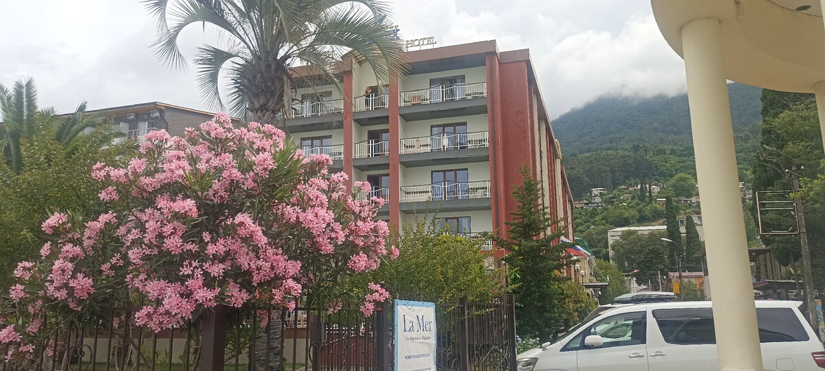 Фото автора,лето 2023 год