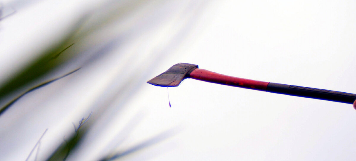 Кадр из фильма