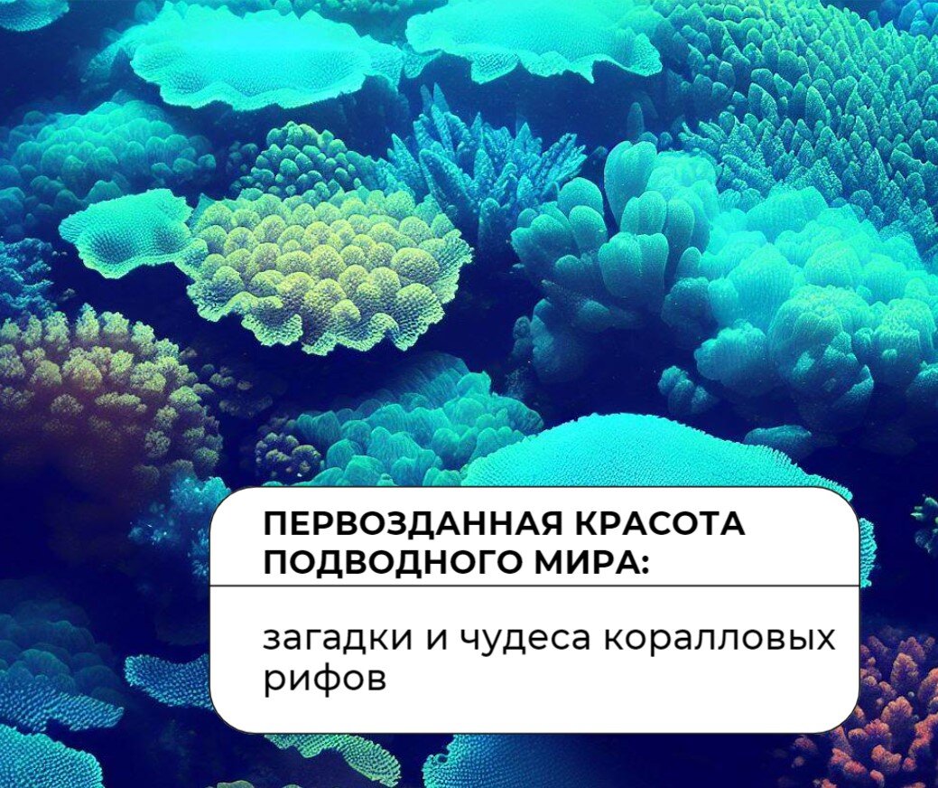 🔔 Первозданная красота подводного мира: загадки и чудеса коралловых рифов  | YUSTI: юмор, советы, тесты, истории | Дзен