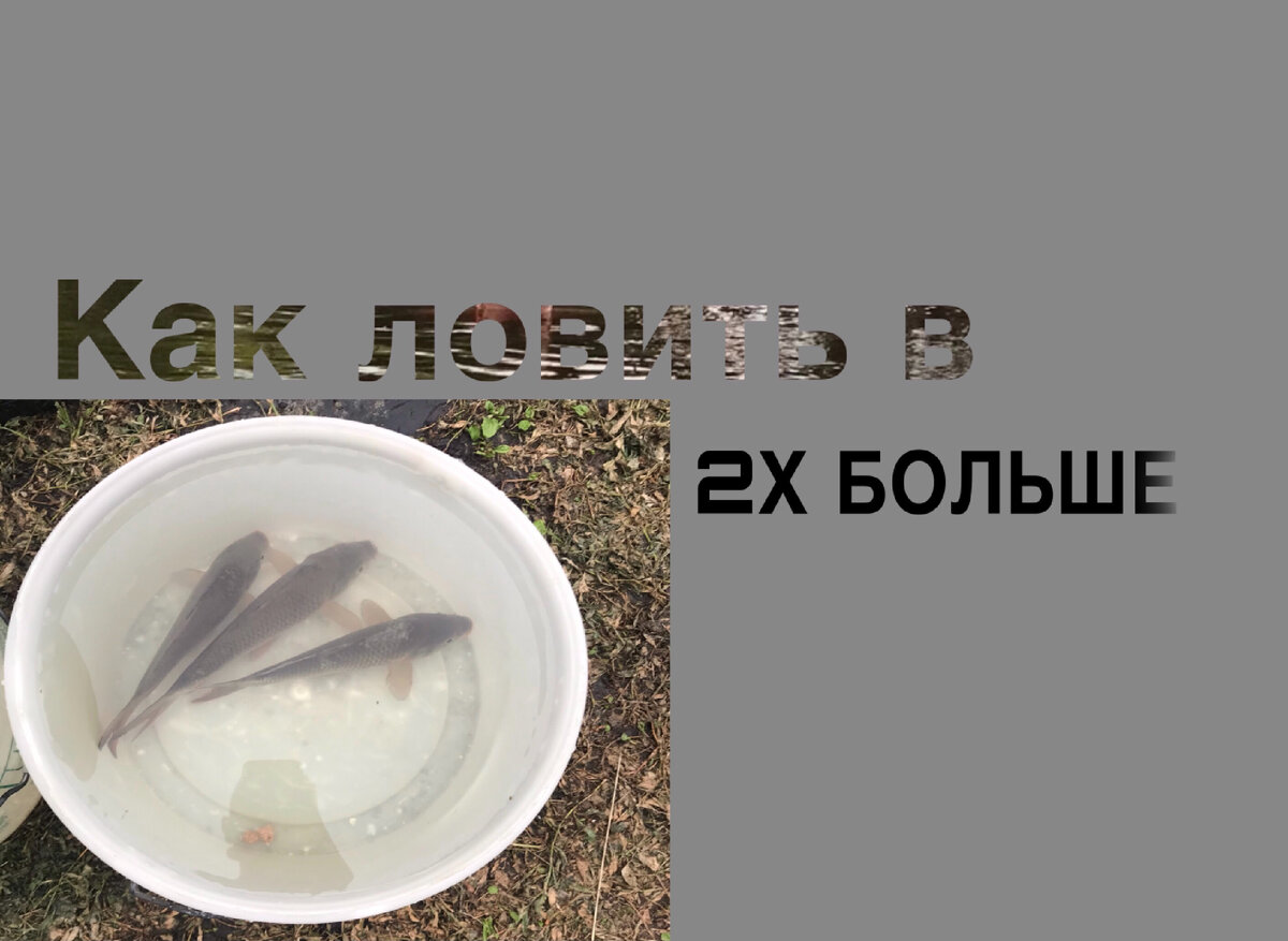 Копье улов где рыба. Огромный улов рыбака. Как поймать мальков на реке. Турнир по рыбной ловле текст