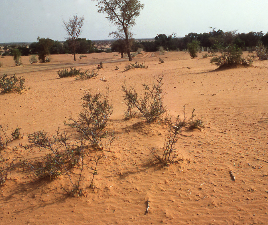 Фото: из открытых источников