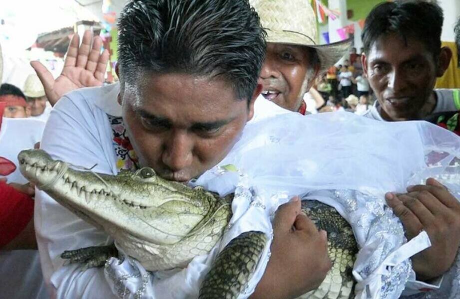    Фото: AFP