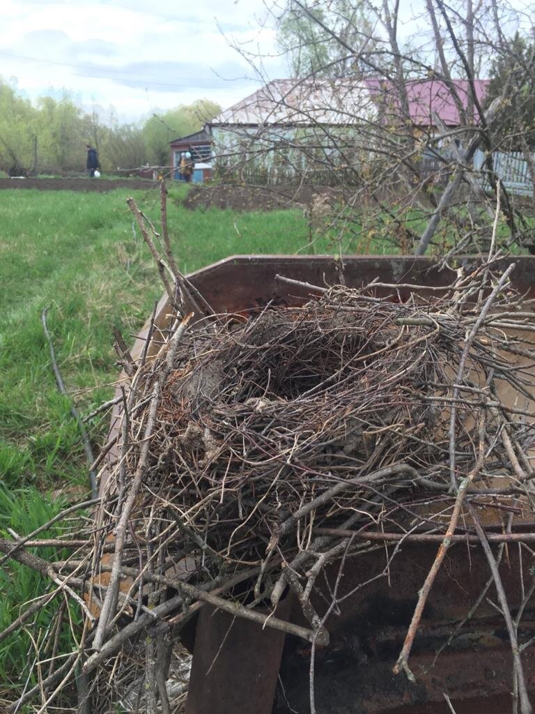 На старой железной вагонетке лежало пустое гнездо. Сорочиное вроде. 