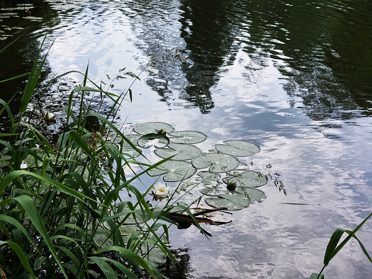 Брянская земля. Водопад семь ключей Можайск.